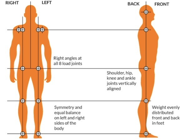 What Is posture Alignment