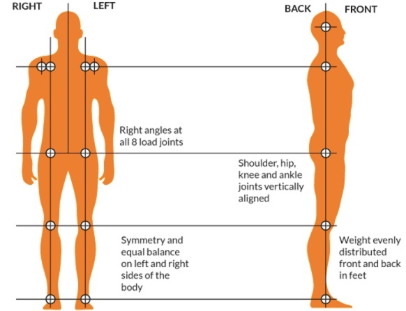 How to Find Your Neutral Body Alignment (with Infographic) - Andersonville  Physical Therapy